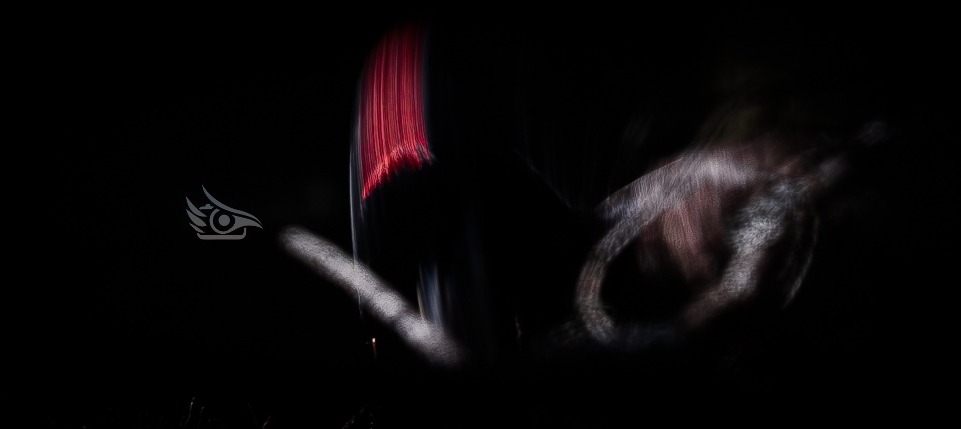 Lintukuvaus ja kamera-asetukset: Suljinaika ja ISO – How to get good bird photos?