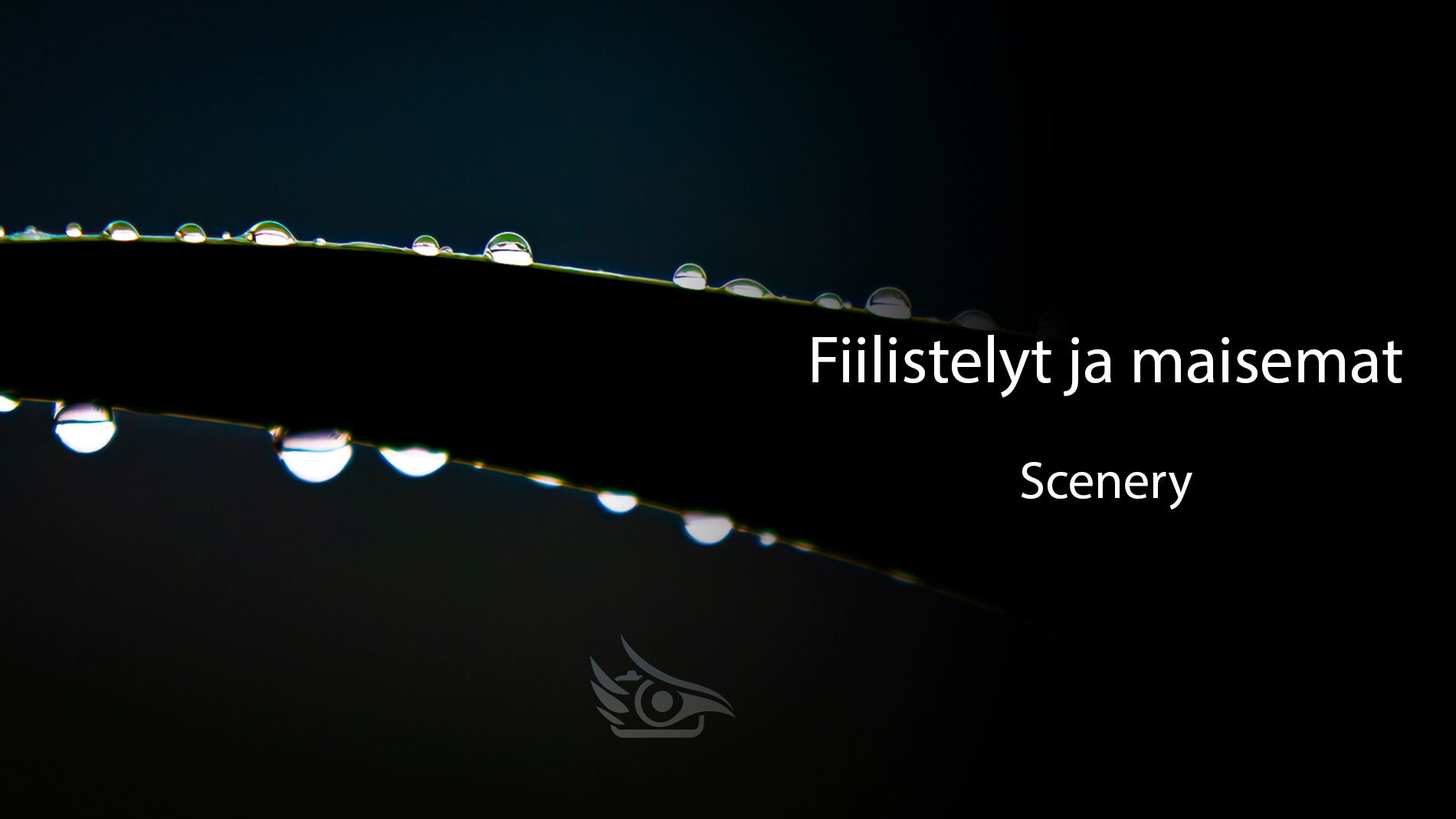 luontokuvaus, Suomen luonto, maisemakuvaus