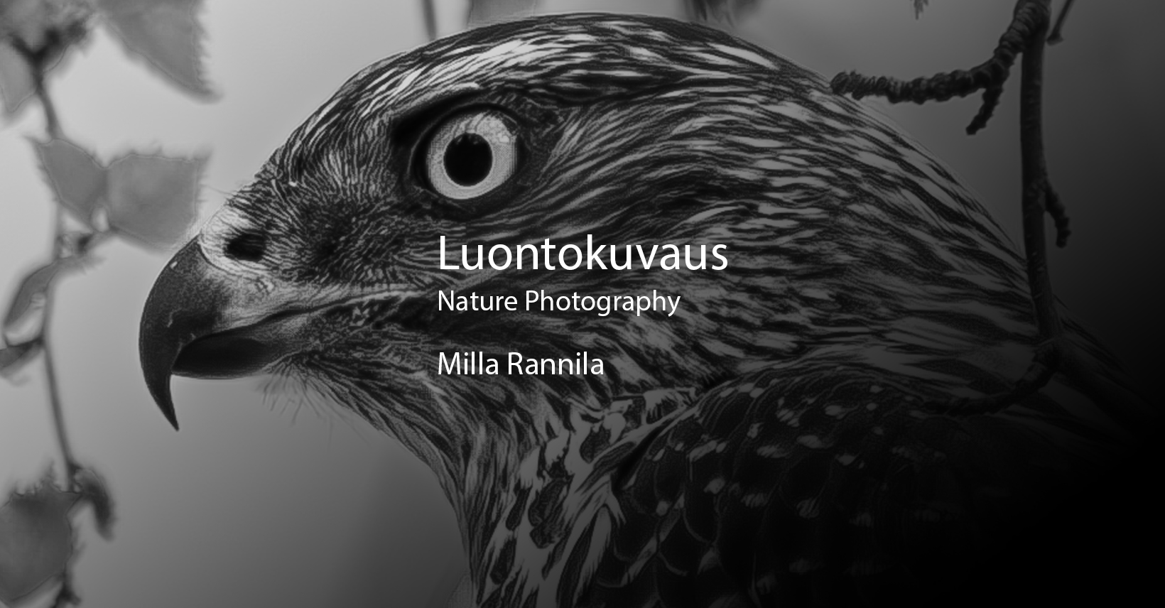 Milla Rannila luontokuvaus on luontokuvausta Suomessa. Lintukuvaus tuo Suomen linnut lähellesi.